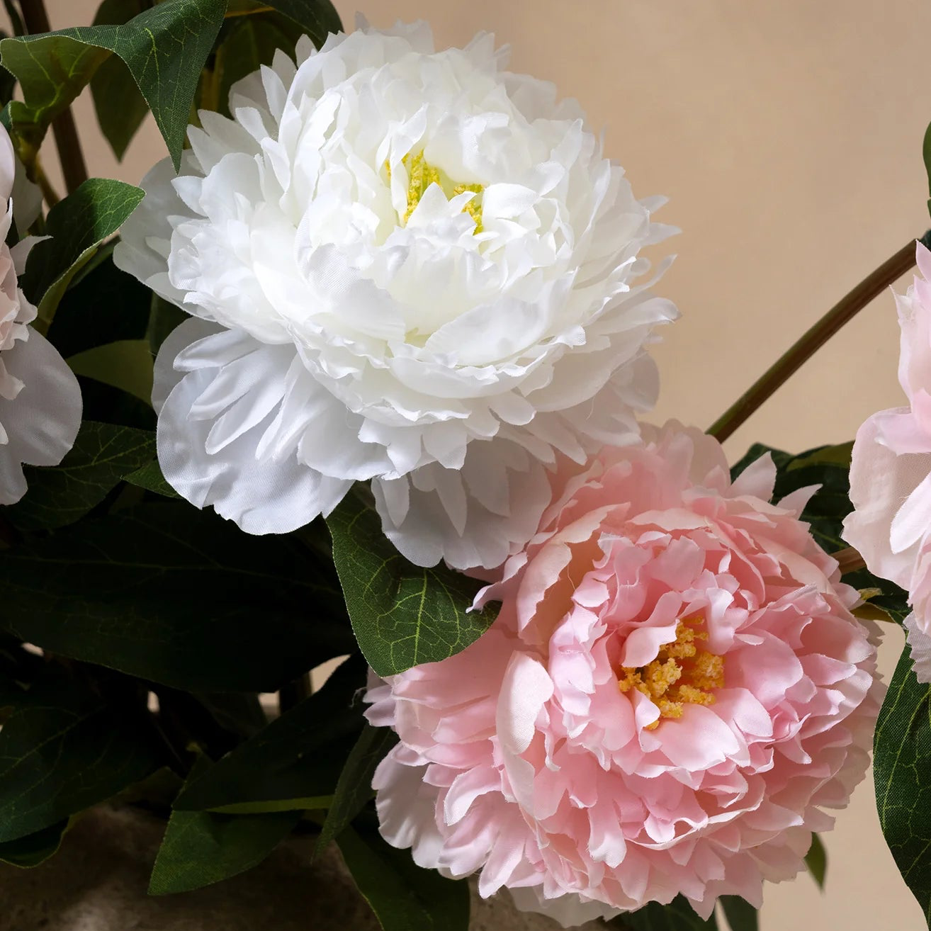 Peonies