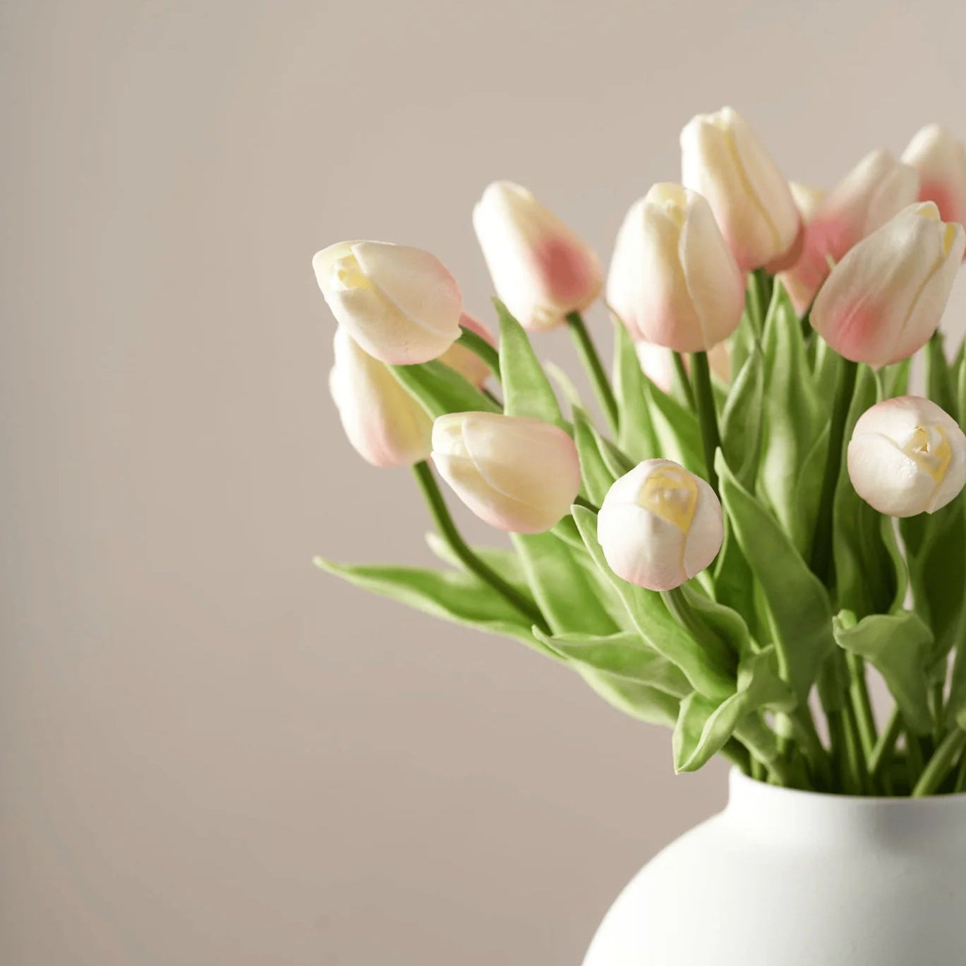 Tulips - Blush Pink