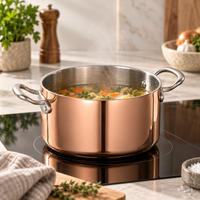 Real Copper Stock Pan