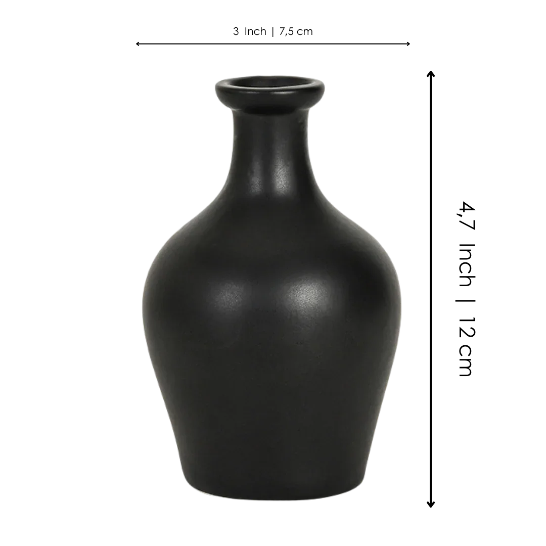 Matte black ceramic vase with wide body and narrow neck