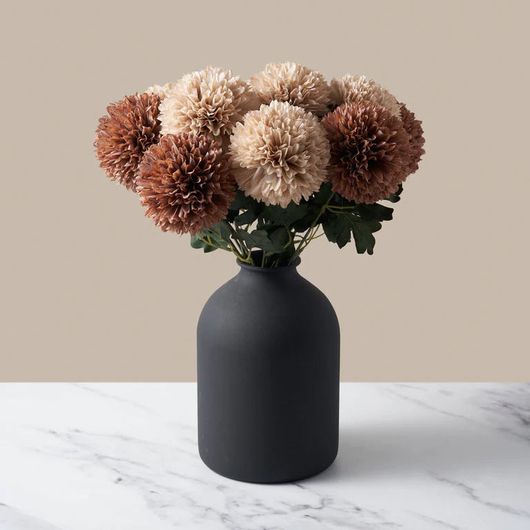 Soft Kiku - Soft Neutrals