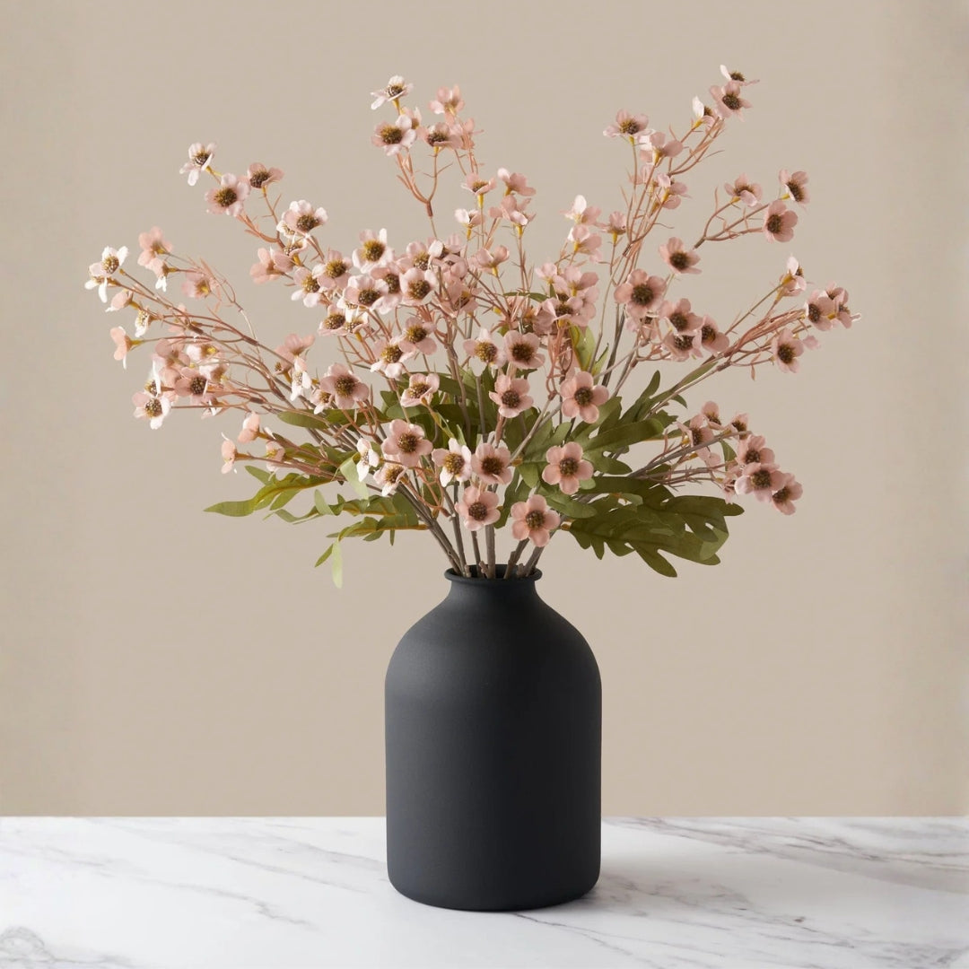 Wax Flower - Rosé