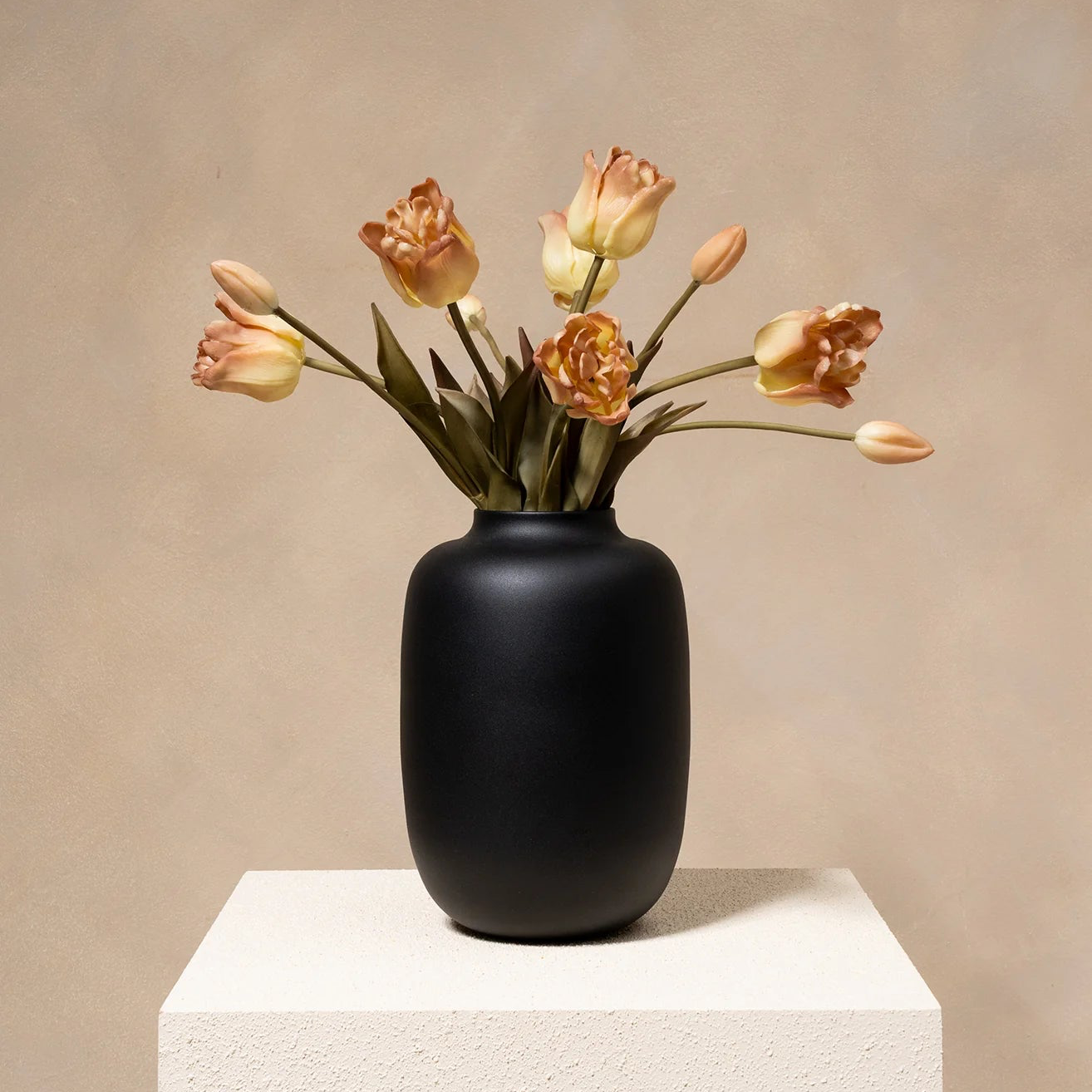 Parrot Tulips - Coffee