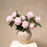 Peonies - Pink