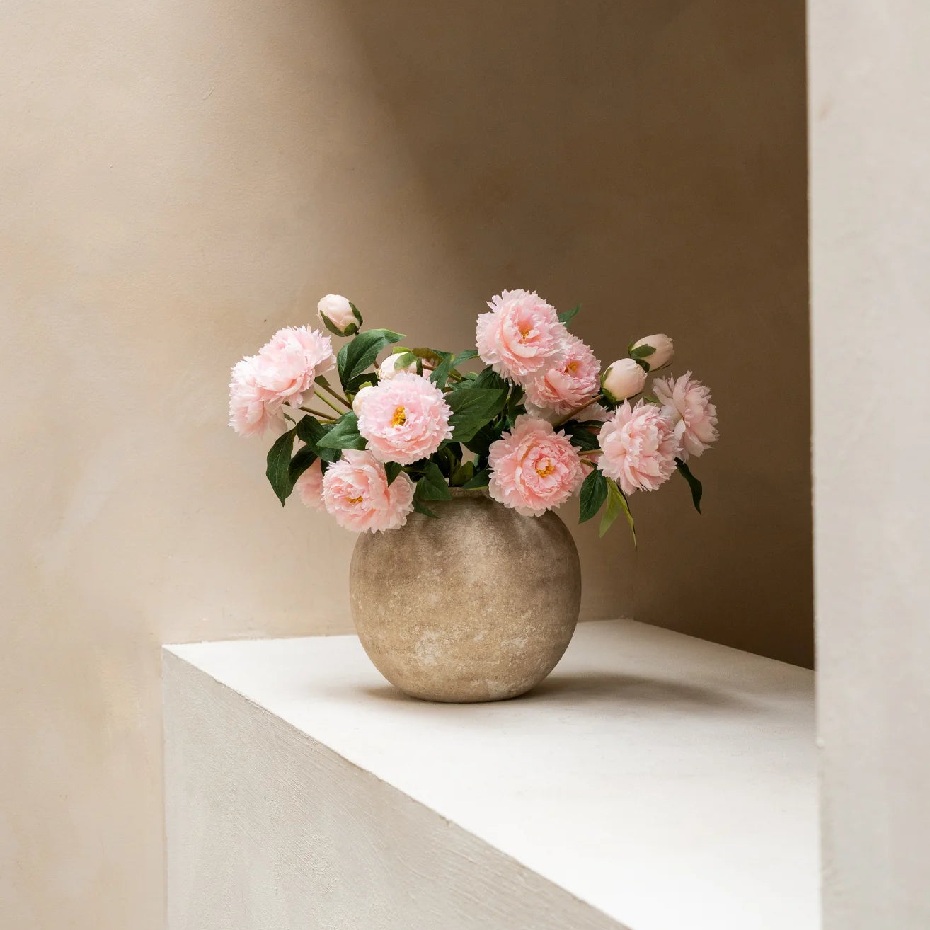 Peonies - Pink
