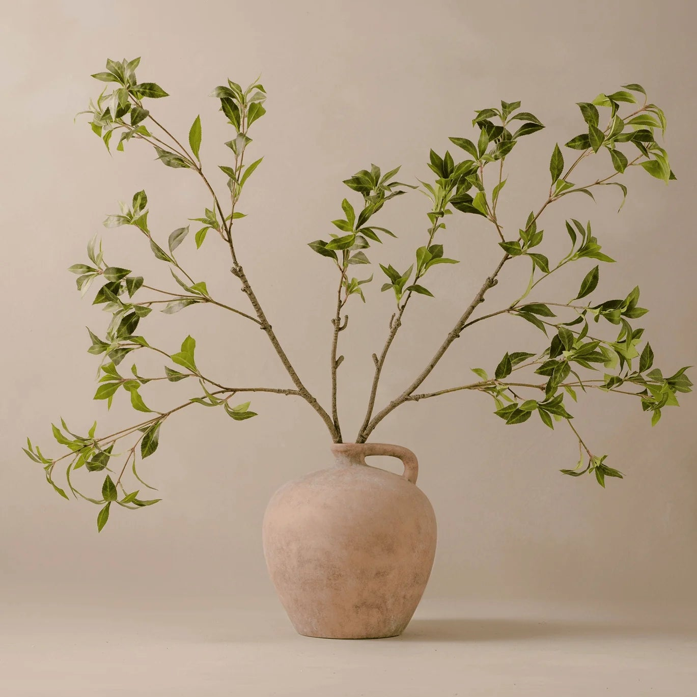 Branch - Rough Pieris