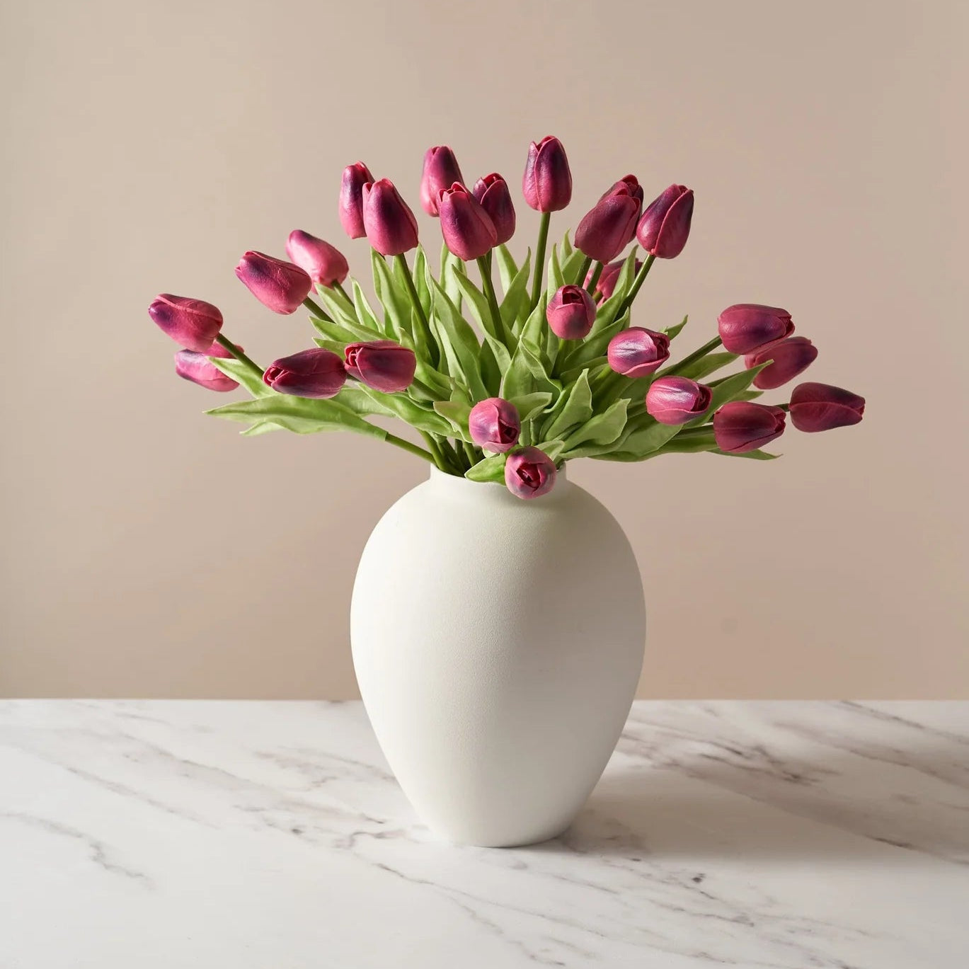 Tulips - Purple