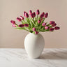 Tulips - Purple