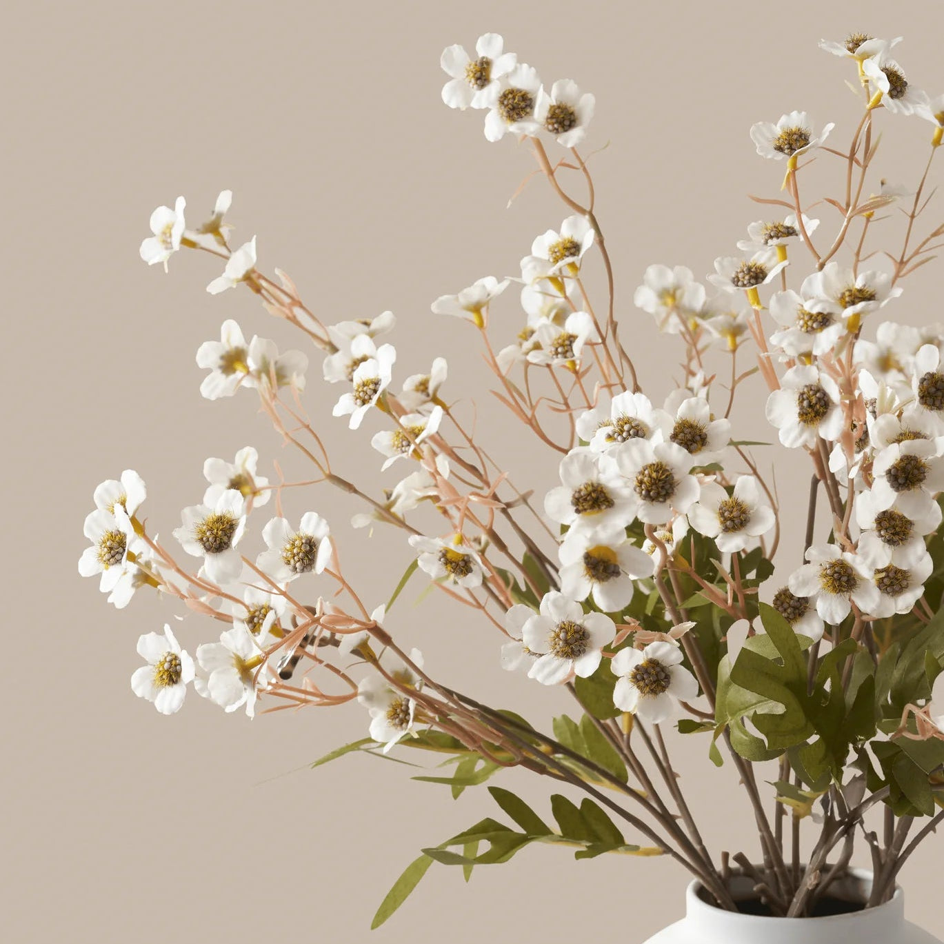 Wax Flower - Snow White