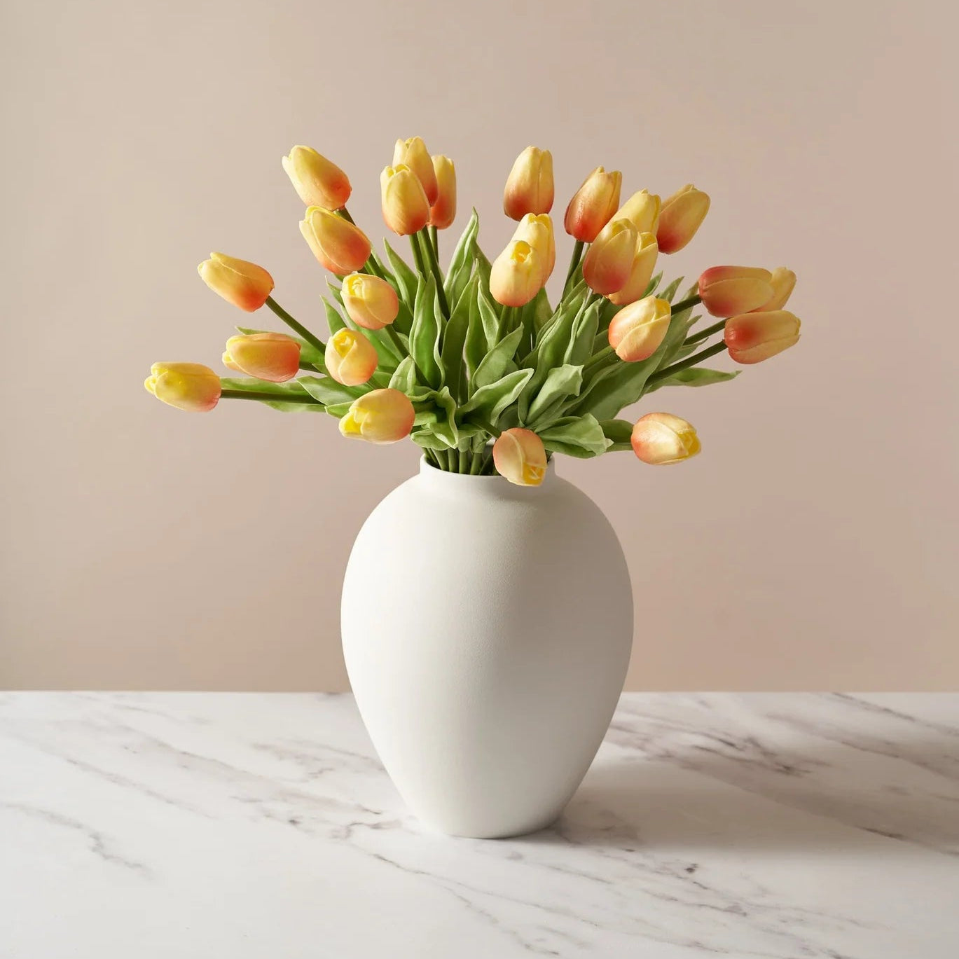 Tulips - Sunrise