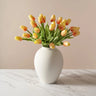 Tulips - Sunrise