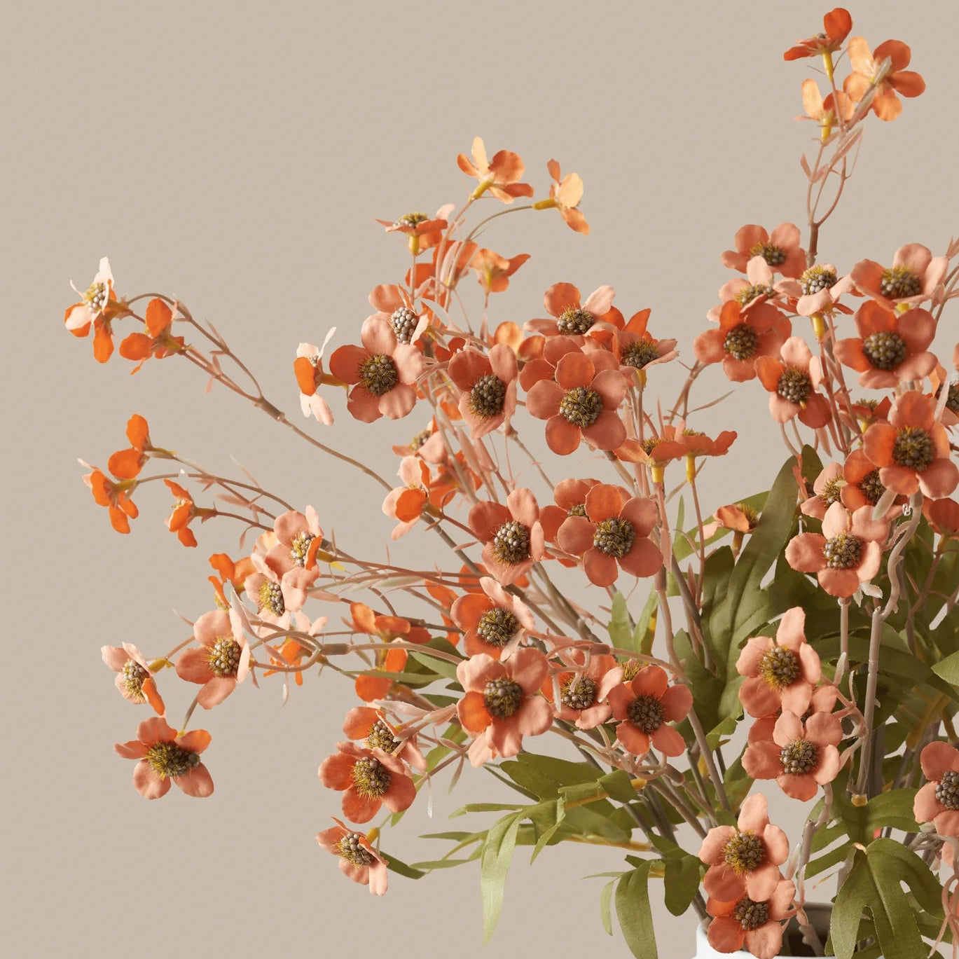 Wax Flower - Warm Autum